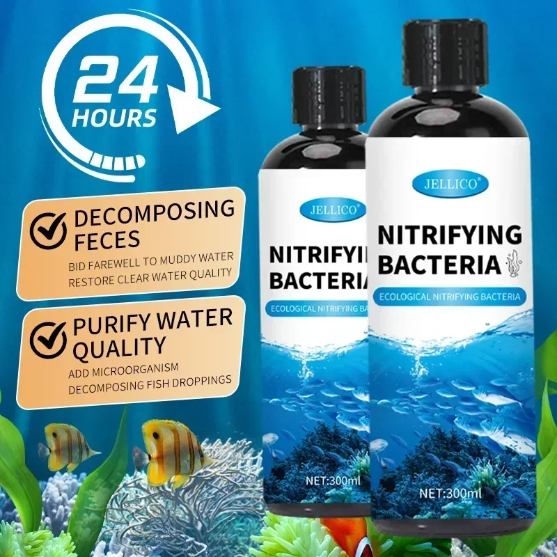 300ml Nitrifying Bacteria Liqu - Aquarium Fishing 리뷰 및 가격