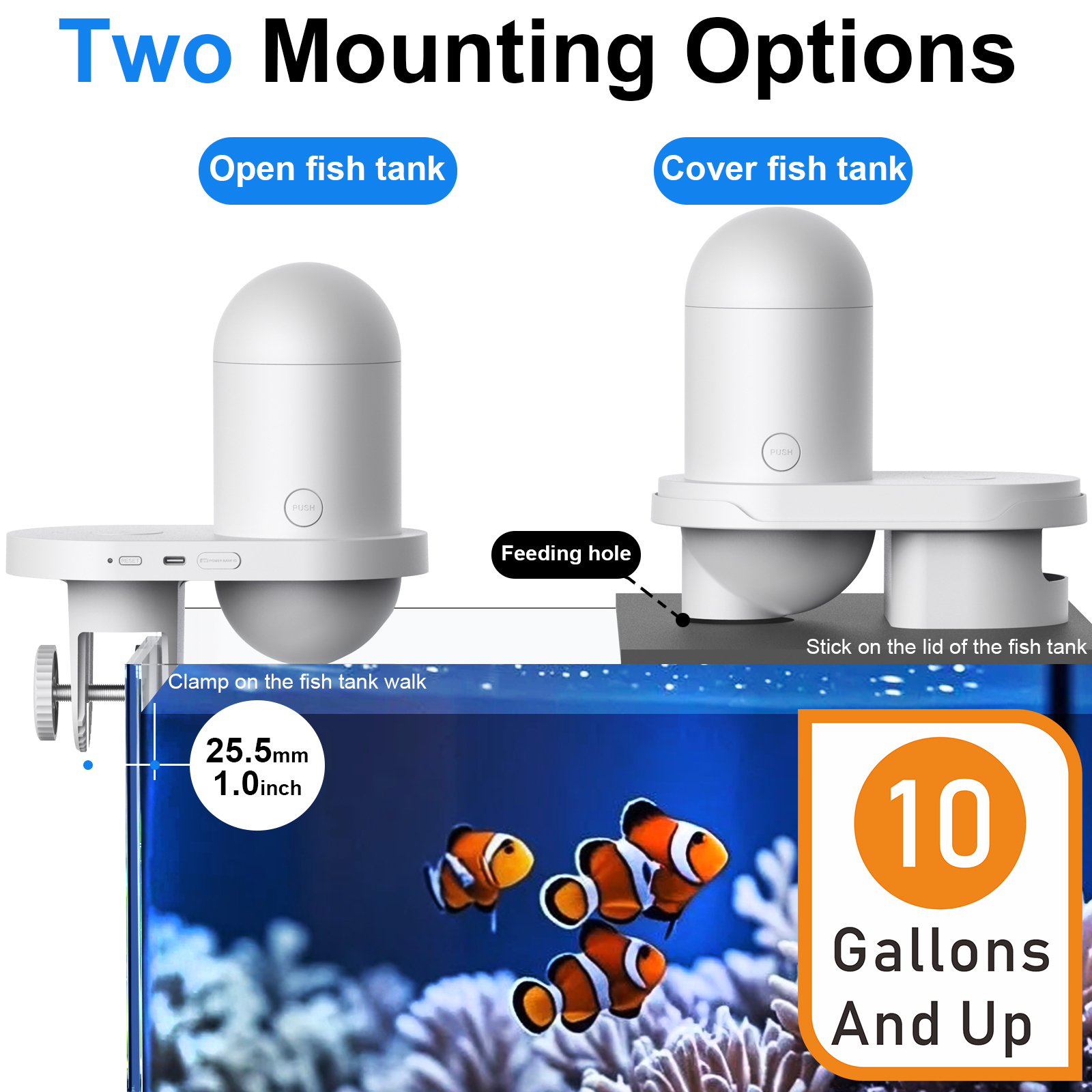 Automatic Fish Feeder With Cam - Aquarium Fish Feeder 리뷰 및 가격