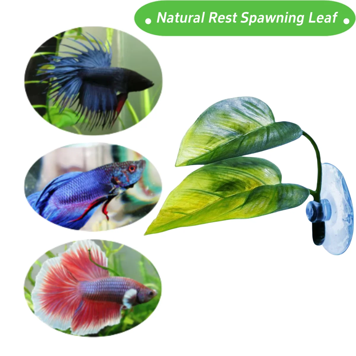 Pets Fish Tank Decor Betta Rel - Aquarium Fish Enrichment 리뷰 및 가격