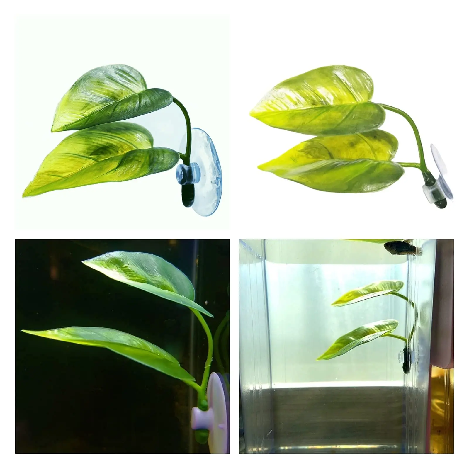 Pets Fish Tank Decor Betta Rel - Aquarium Fish Enrichment 리뷰 및 가격
