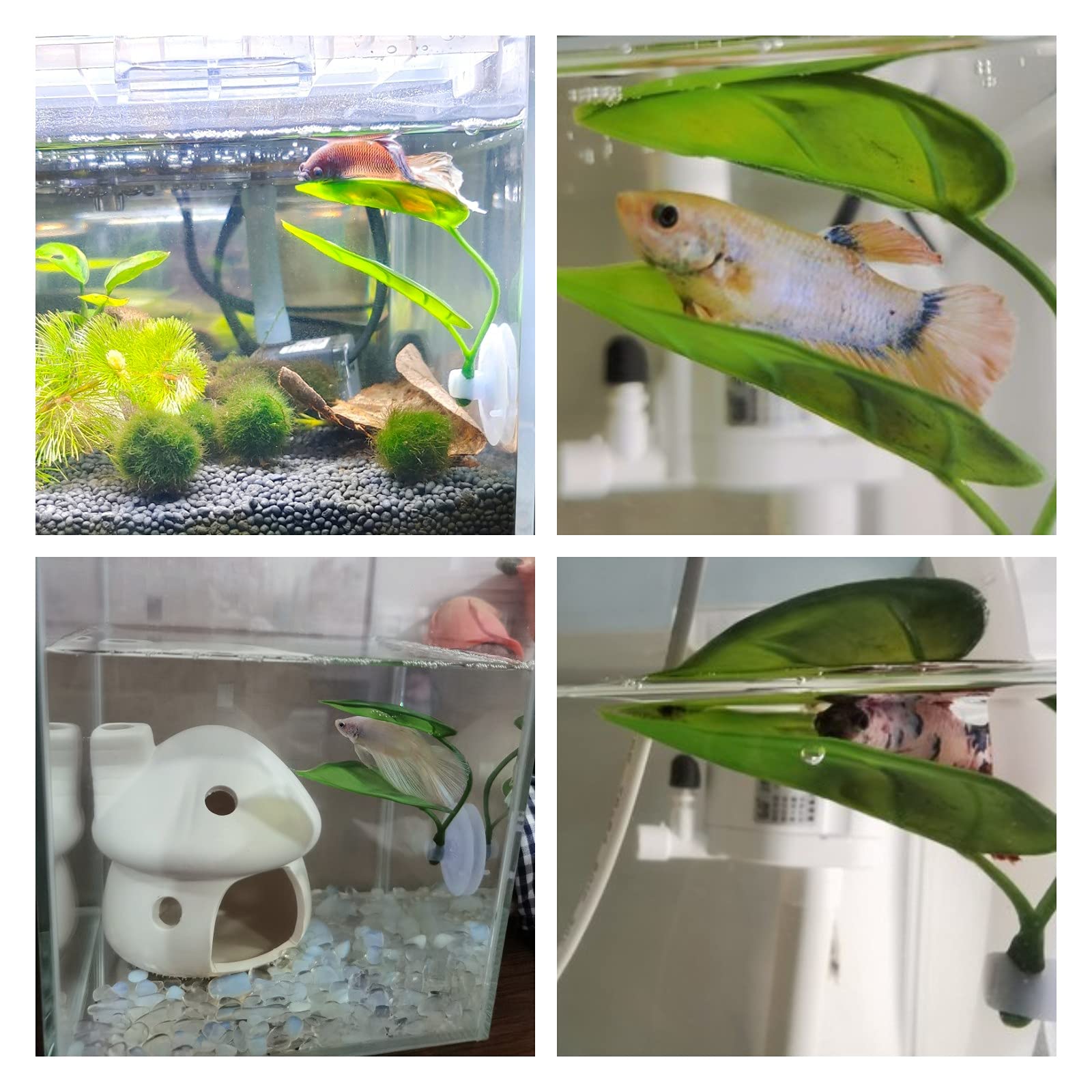 Pets Fish Tank Decor Betta Rel - Aquarium Fish Enrichment 리뷰 및 가격