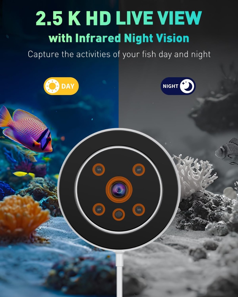 WiFi Automatic Fish Feeder for - Aquarium Fish Video 리뷰 및 가격