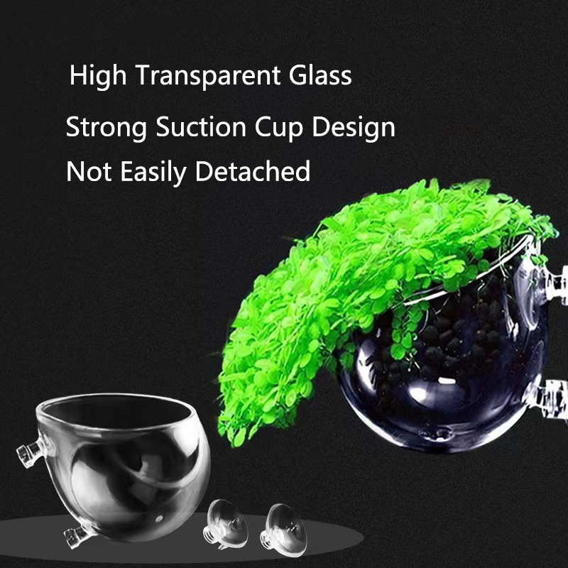 Glass Aquarium Decoration Hang - Aquarium Fish Enrichment 리뷰 및 가격