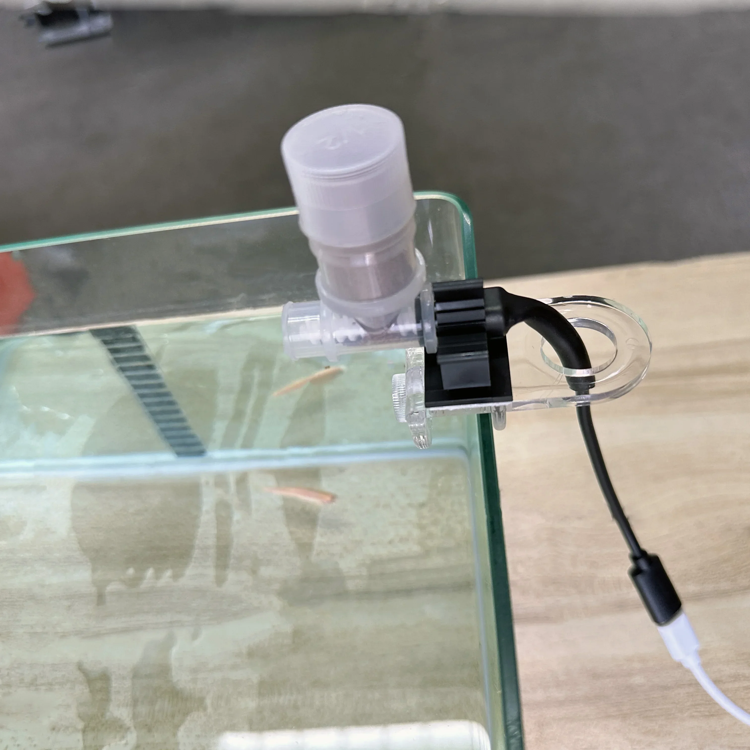 Best Automatic Fish Feeder - W - Aquarium Fish Feeder 리뷰 및 가격