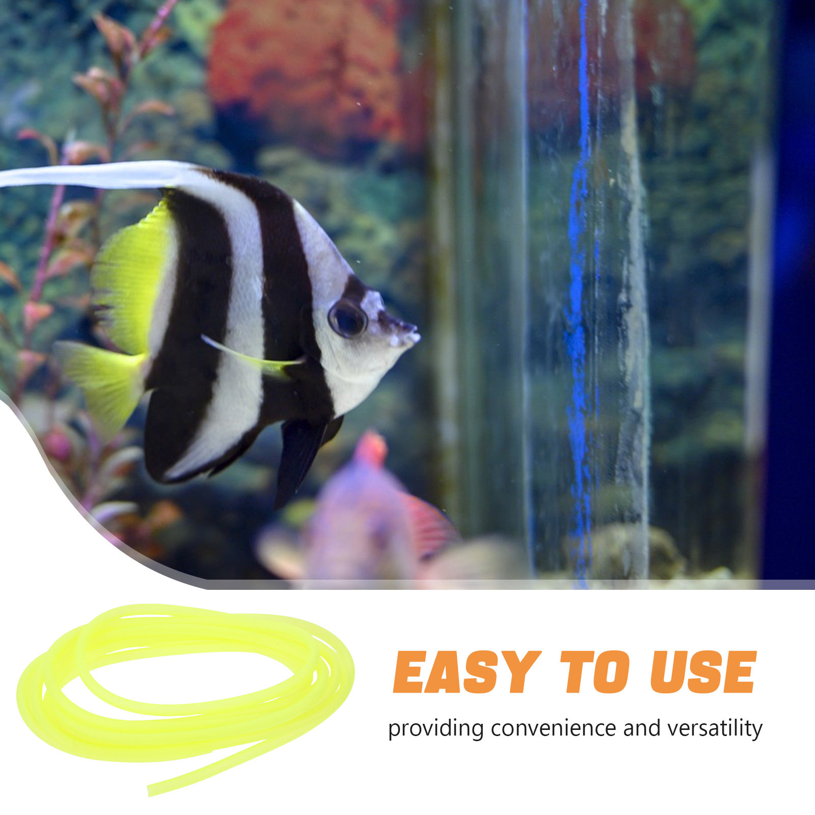 Durable Flexible PVC Aquarium  - Aquarium Fish Tank 리뷰 및 가격