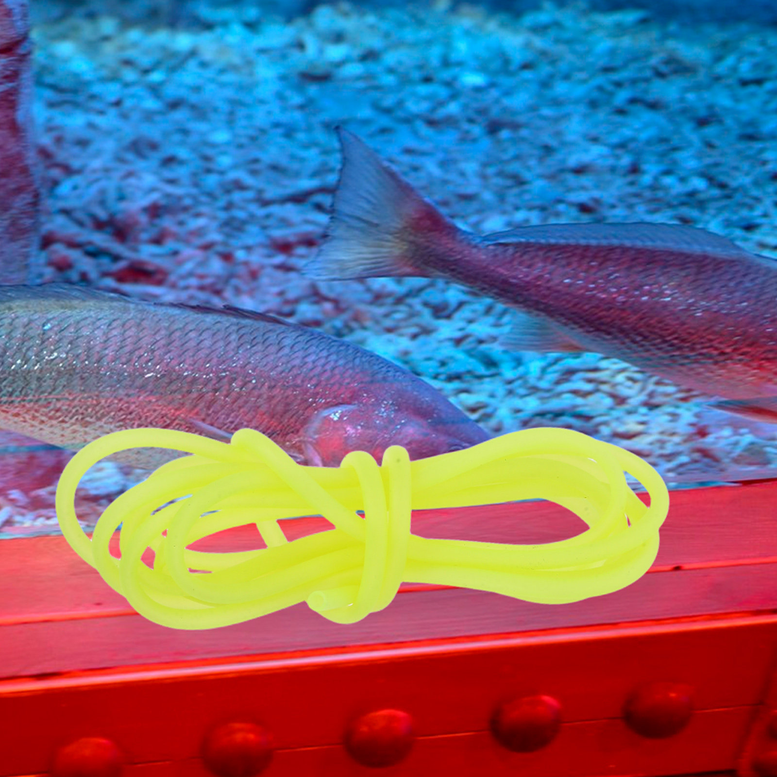 Durable Flexible PVC Aquarium  - Aquarium Fish Tank 리뷰 및 가격