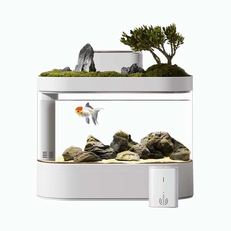 Desktop Smart Aquarium Fish Ta - Aquarium Fish Feeder 리뷰 및 가격