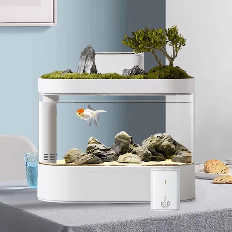 Desktop Smart Aquarium Fish Ta - Aquarium Fish Feeder 리뷰 및 가격
