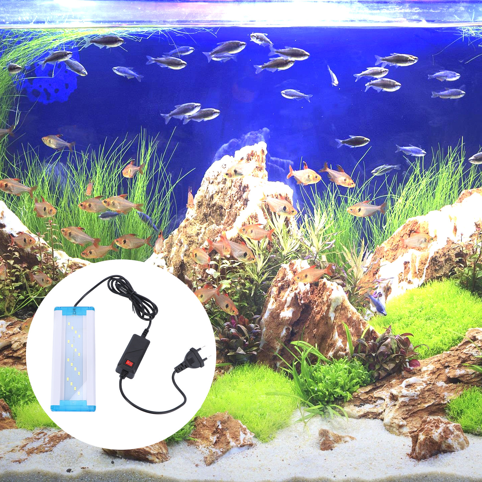 1Pcs Ultra-Thin Aquarium LED L - Aquarium Fish With Long Lifespan 리뷰 및 가격