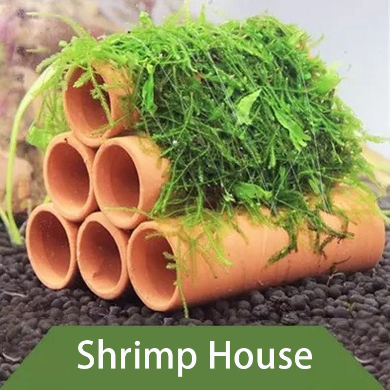Clay Aquarium Decoration Fish  - Aquarium Fish Enrichment 리뷰 및 가격