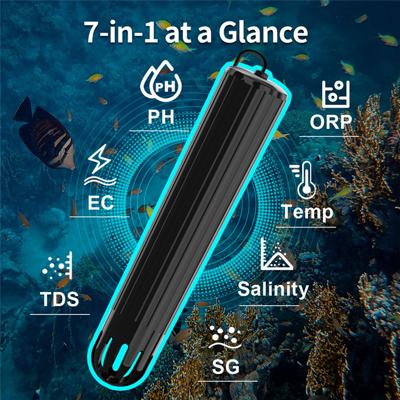 【Flash-Deal!】7 In 1 Online Wif - Aquarium Fish Online 리뷰 및 가격