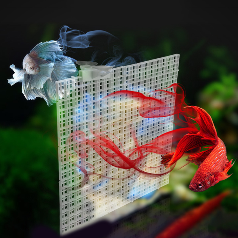 Removable Splicing Fish Tank I - Tank Divider Mesh 리뷰 및 가격
