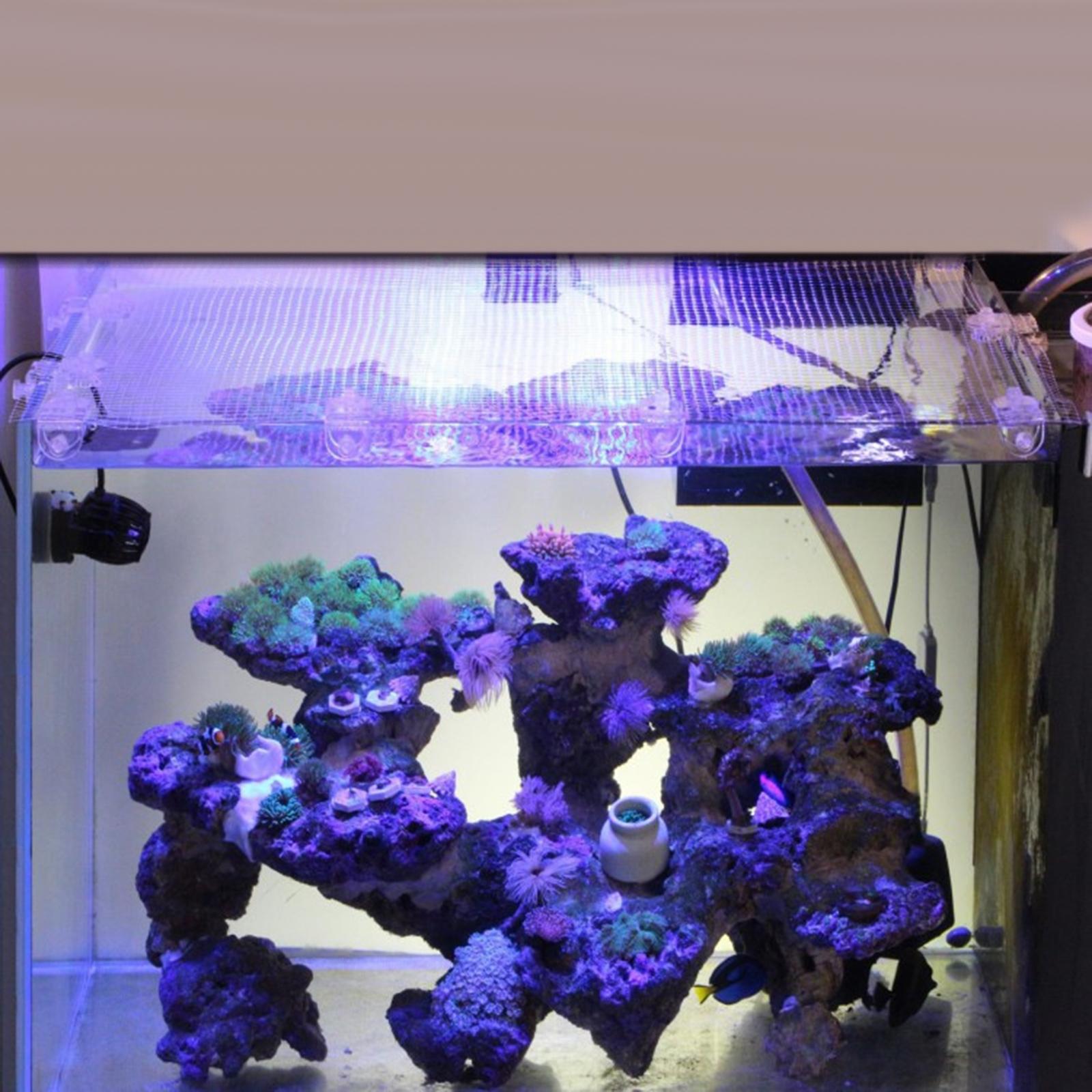Transparent Mesh Fish Tank Scr - Tank Divider Mesh 리뷰 및 가격