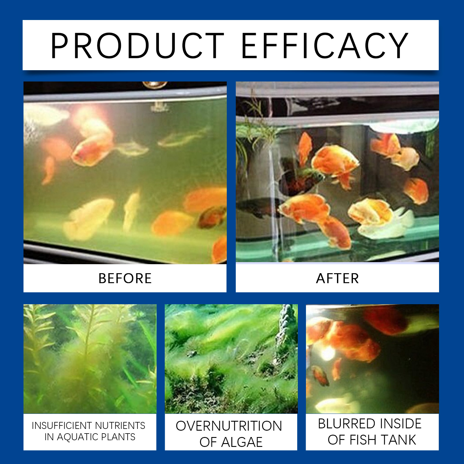 Aquarium Water Clarifier 100ml - Aquarium Fishing 리뷰 및 가격
