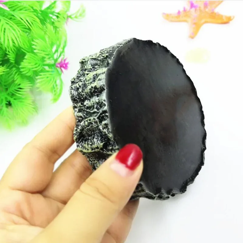Pet Reptile Feeder Bowl Resin  - Aquarium Fish Feeder 리뷰 및 가격
