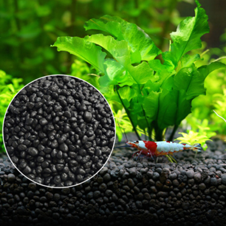 Aquarium Plant Seeds Soil Fish - Aquarium Fish To Buy 리뷰 및 가격