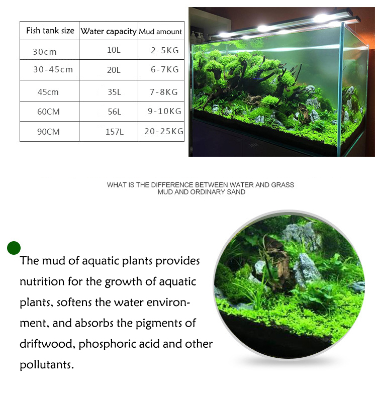 Aquarium Plant Seeds Soil Fish - Aquarium Fish To Buy 리뷰 및 가격