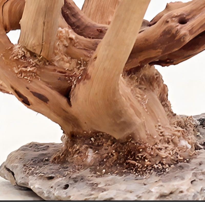 1PC Aquarium Landscaping Wood  - Aquarium Fish Enrichment 리뷰 및 가격