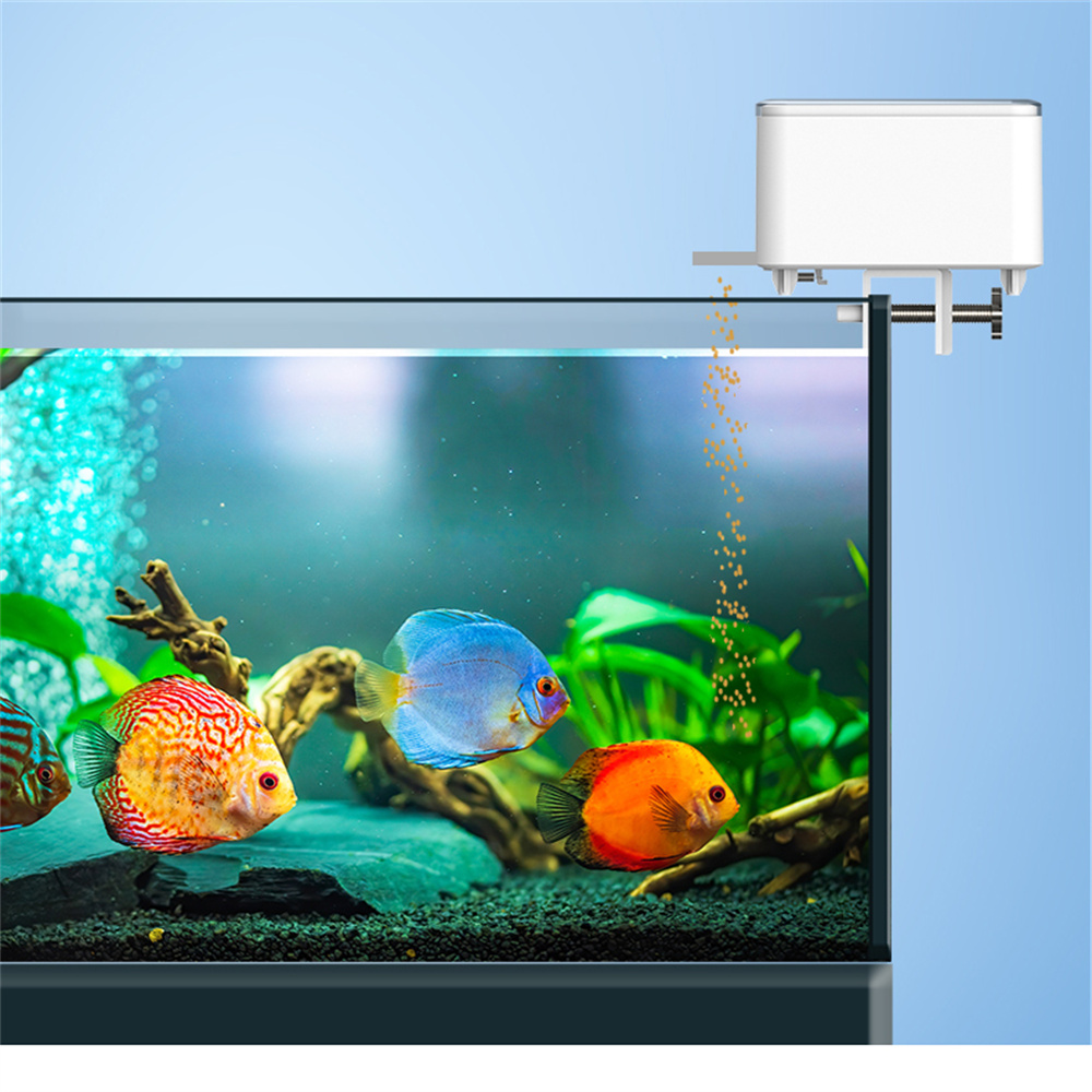 WiFi Smart Automatic Feeder Aq - Aquarium Fish Feeder 리뷰 및 가격
