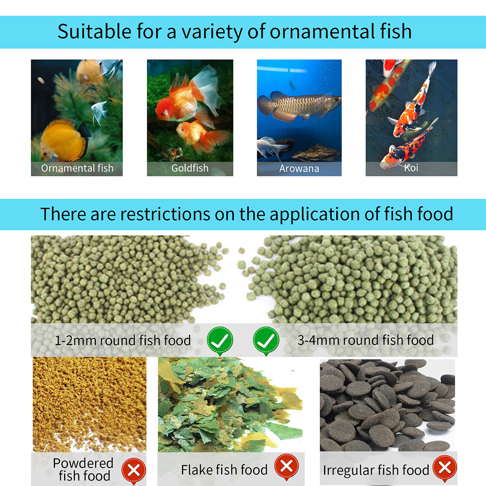 WiFi Smart Automatic Feeder Aq - Aquarium Fish Feeder 리뷰 및 가격