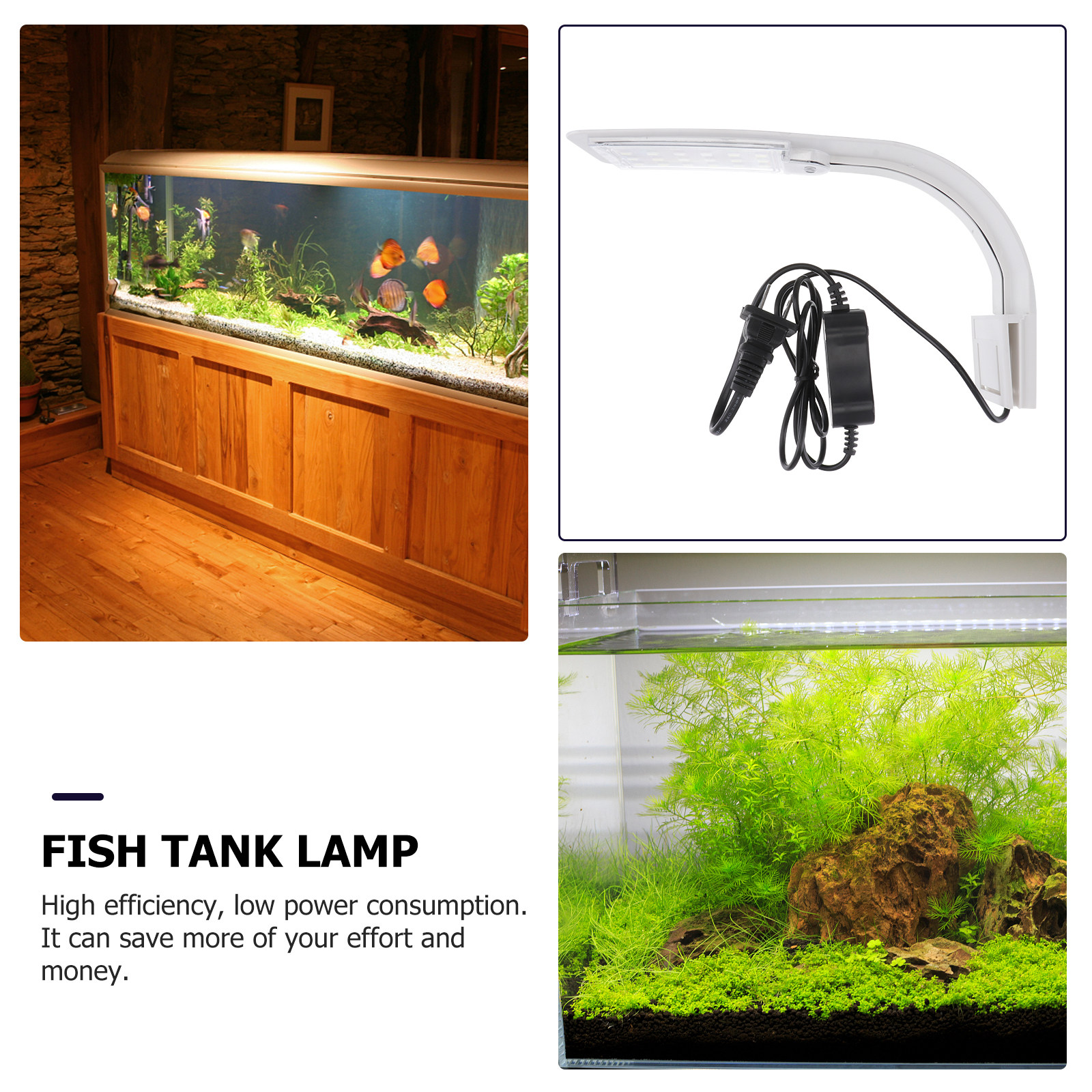 LED Aquarium Light for Fish Ta - Aquarium Fish With Long Lifespan 리뷰 및 가격