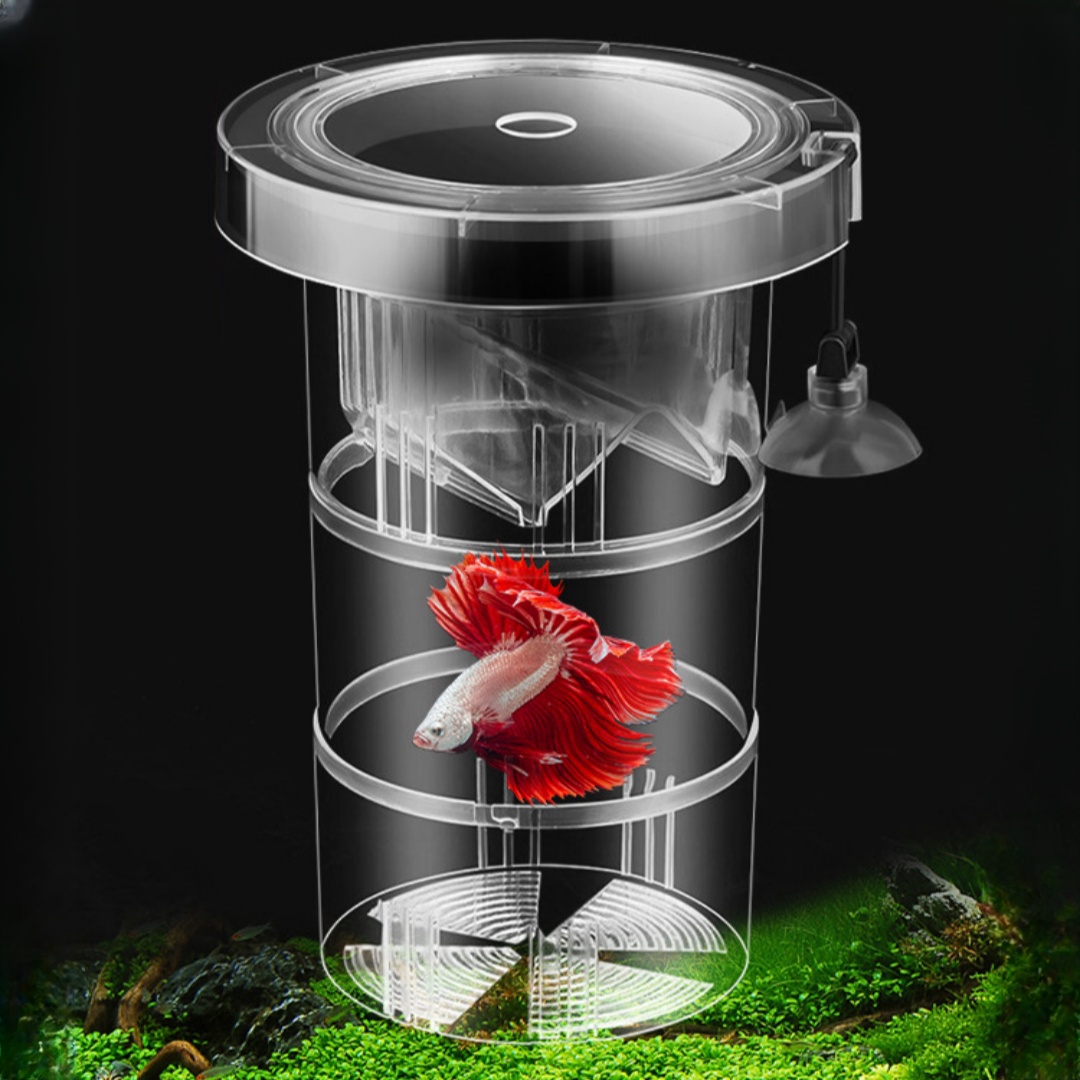 Acrylic Floating Fish Breeding - Aquarium Fish Feeder 리뷰 및 가격