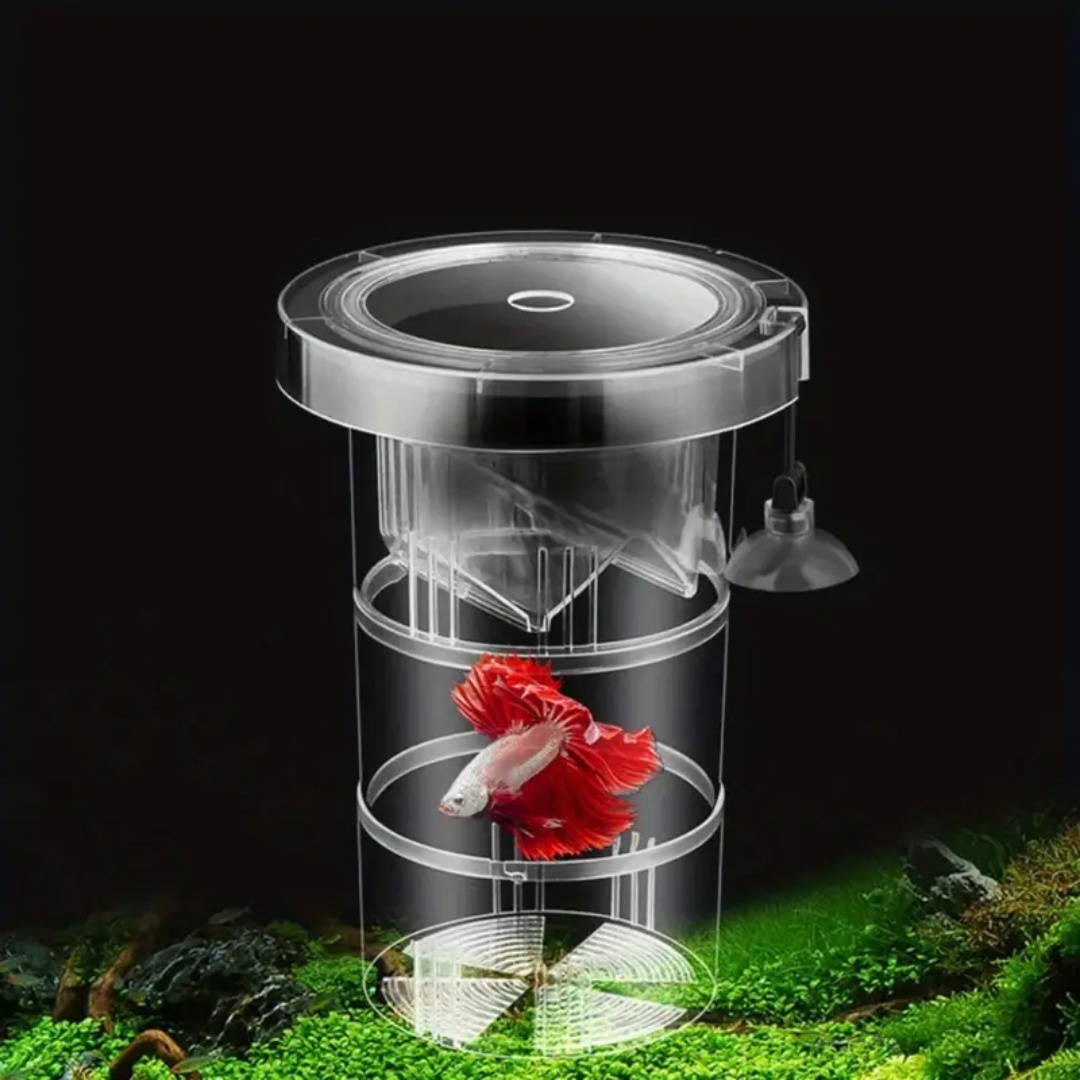 Acrylic Floating Fish Breeding - Aquarium Fish Feeder 리뷰 및 가격