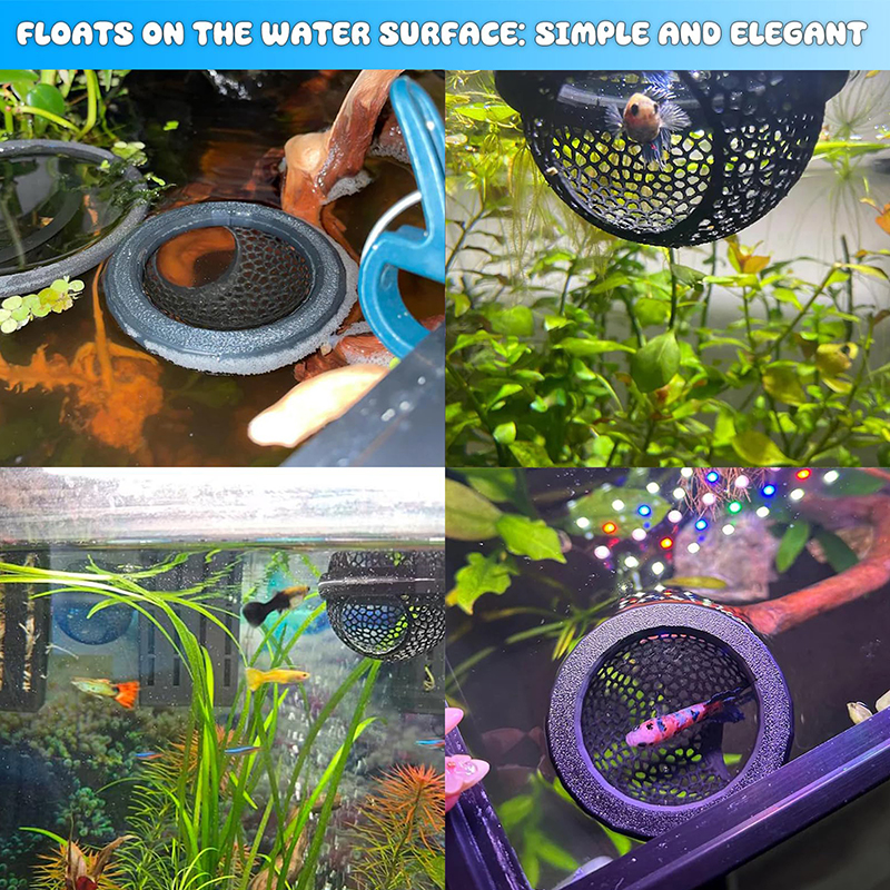 Ring FLoatinG Betta Hide Shrim - Aquarium Fish Feeder 리뷰 및 가격