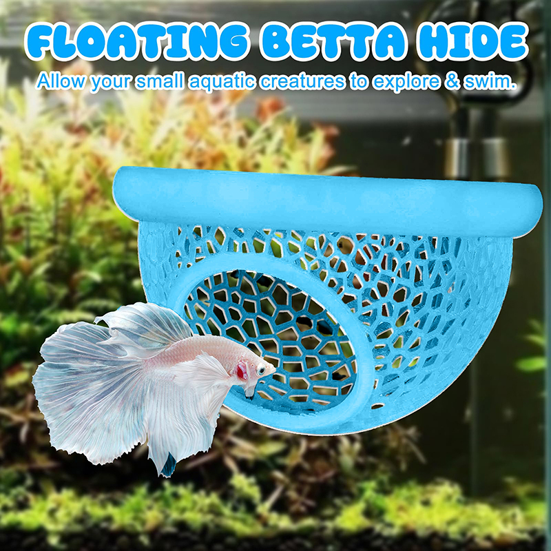 Ring FLoatinG Betta Hide Shrim - Aquarium Fish Feeder 리뷰 및 가격