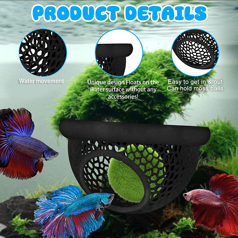 Ring FLoatinG Betta Hide Shrim - Aquarium Fish Feeder 리뷰 및 가격