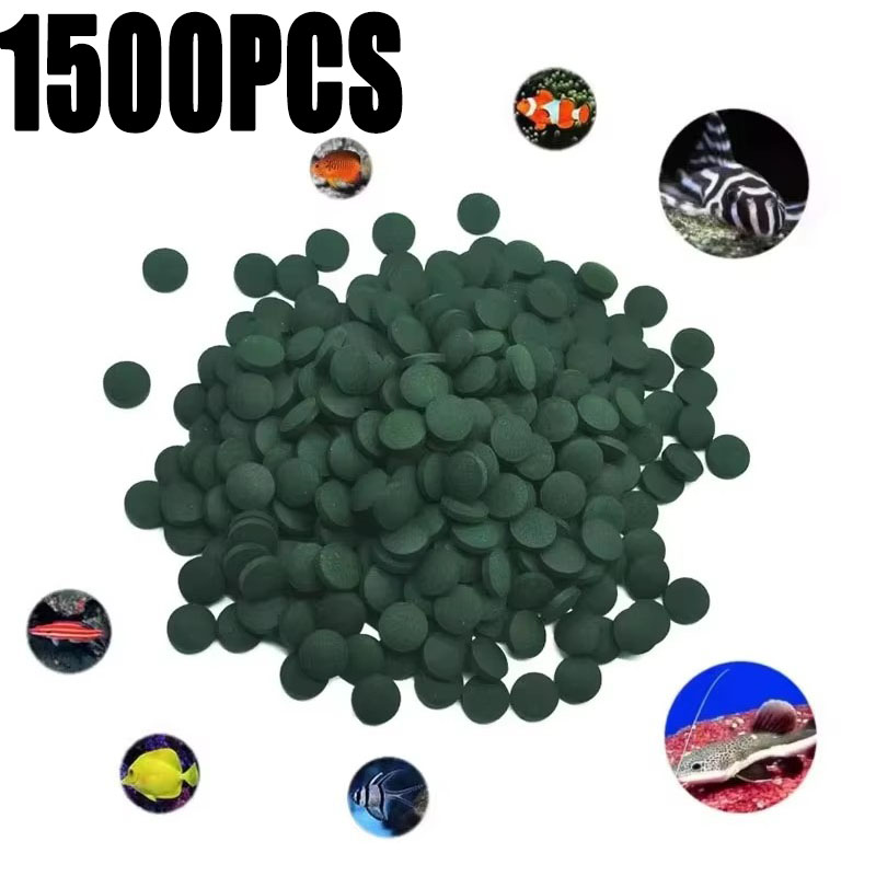 100-1500Pcs High-Purity Spirul - Aquarium Fish Enrichment 리뷰 및 가격