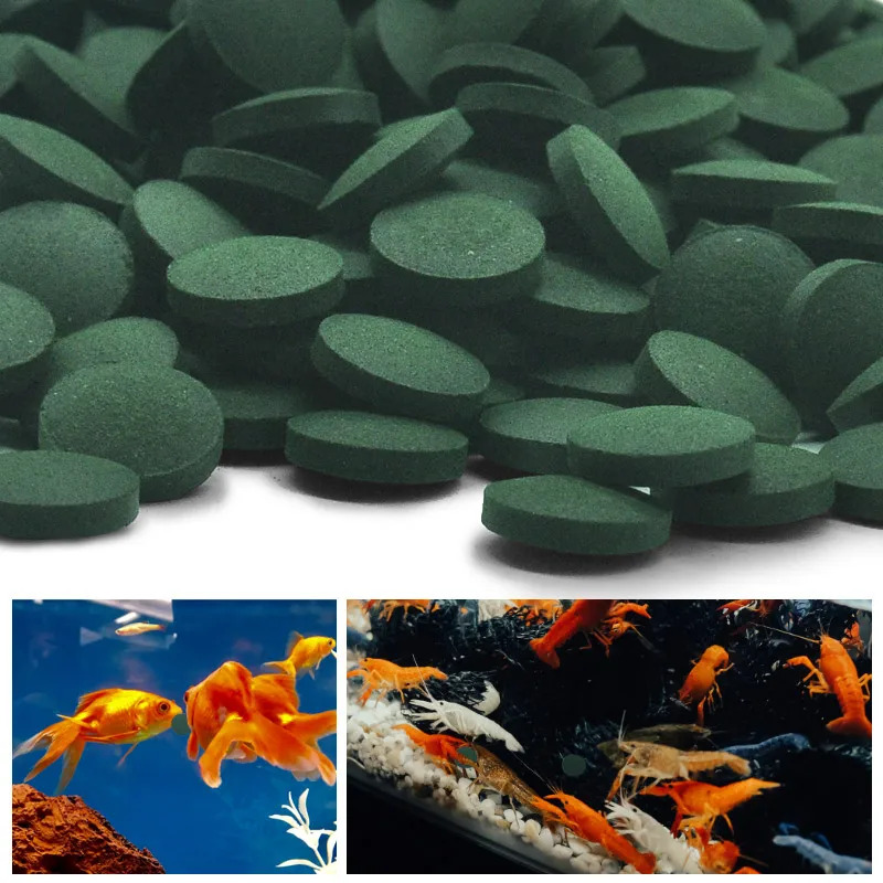 100-1500Pcs High-Purity Spirul - Aquarium Fish Enrichment 리뷰 및 가격