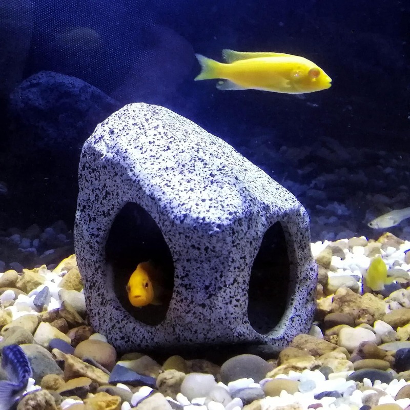 Fish Tank Cave Stone Landscapi - Aquarium Fish Enrichment 리뷰 및 가격