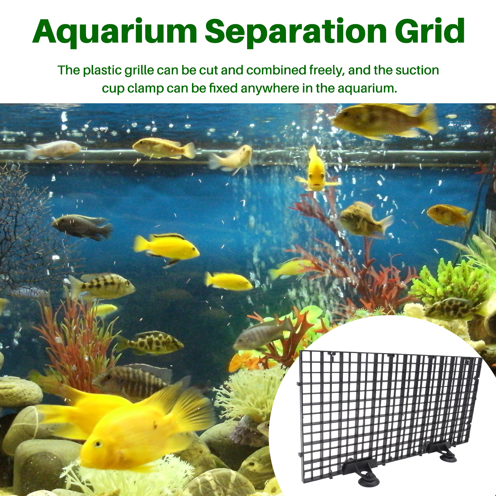 Premium-Aquarium Divider Tray  - Tank Divider Mesh 리뷰 및 가격