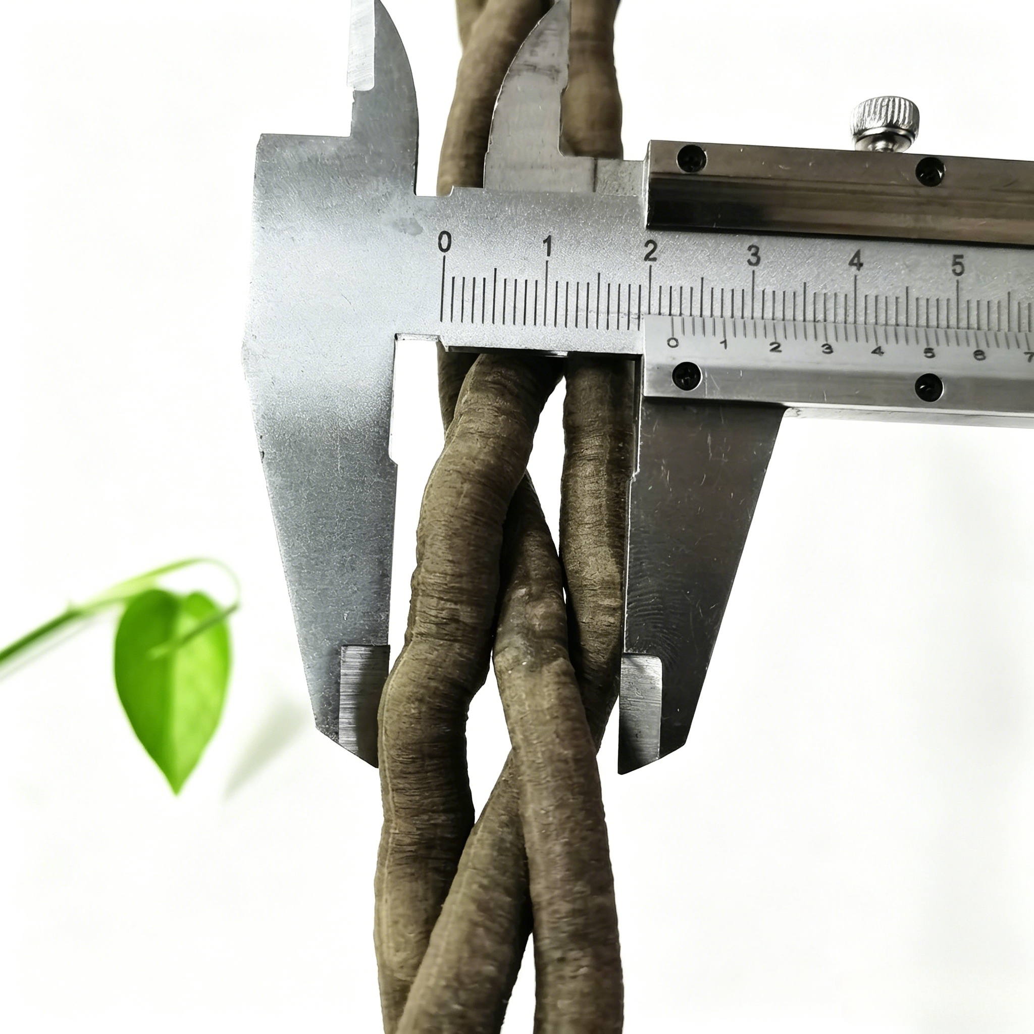 100cm Artificial Vine Plant Cl - Aquarium Fish To Buy 리뷰 및 가격