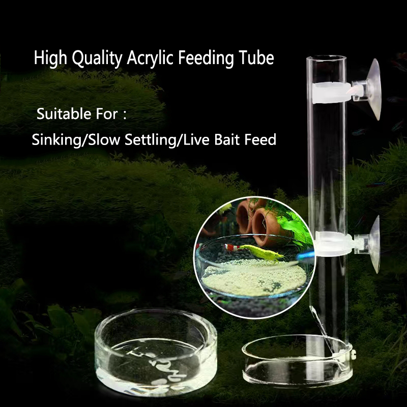 1Pcs Acrylic Aquarium Feeder T - Aquarium Fish Feeder 리뷰 및 가격
