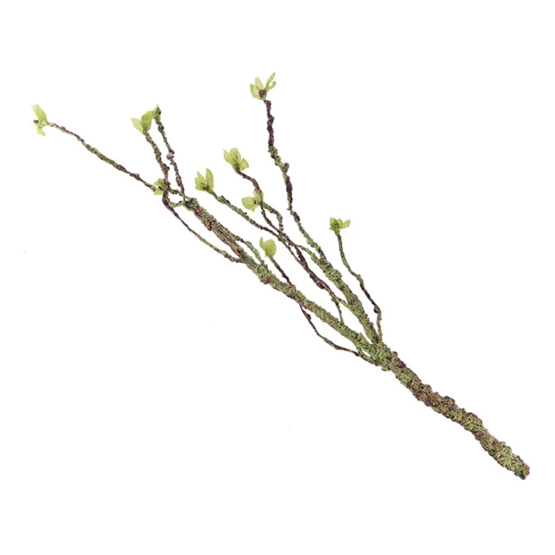 Vines Decor Climbing Branches  - Aquarium Fish To Buy 리뷰 및 가격