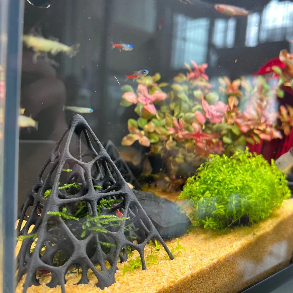 3D Printed Pyramid Fish & Shri - Aquarium Fish Enrichment 리뷰 및 가격