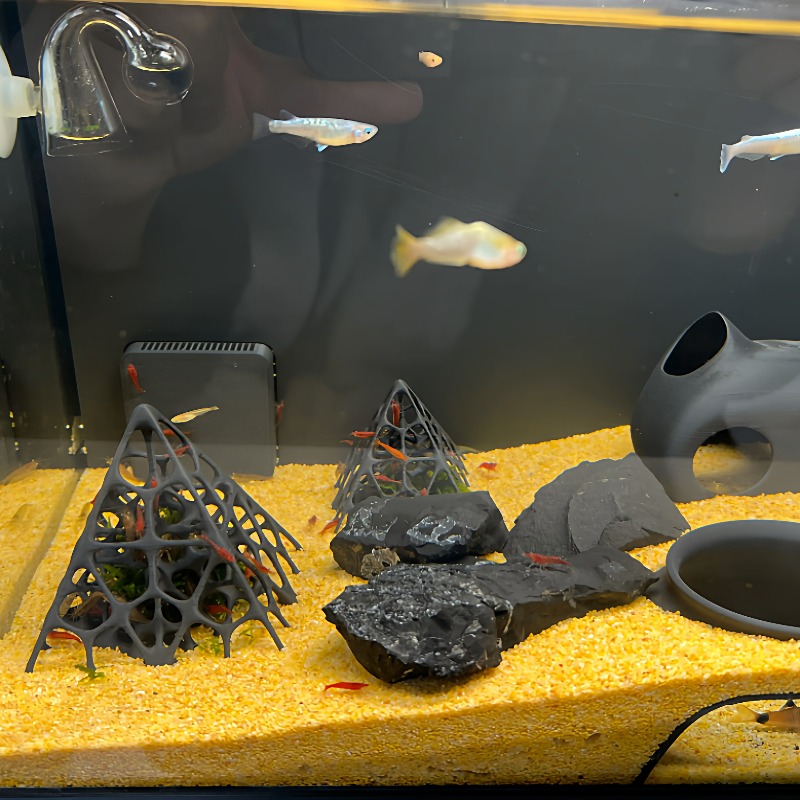 3D Printed Pyramid Fish & Shri - Aquarium Fish Enrichment 리뷰 및 가격