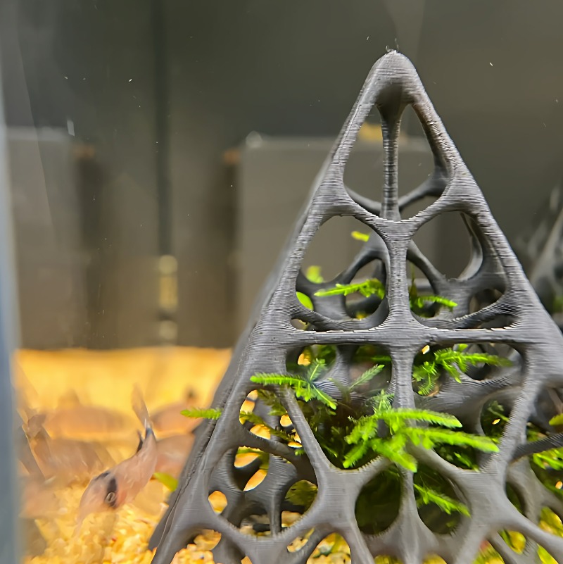 3D Printed Pyramid Fish & Shri - Aquarium Fish Enrichment 리뷰 및 가격